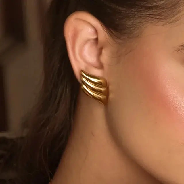 Premium Wings Of Golden Earrings